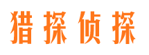 林西侦探公司